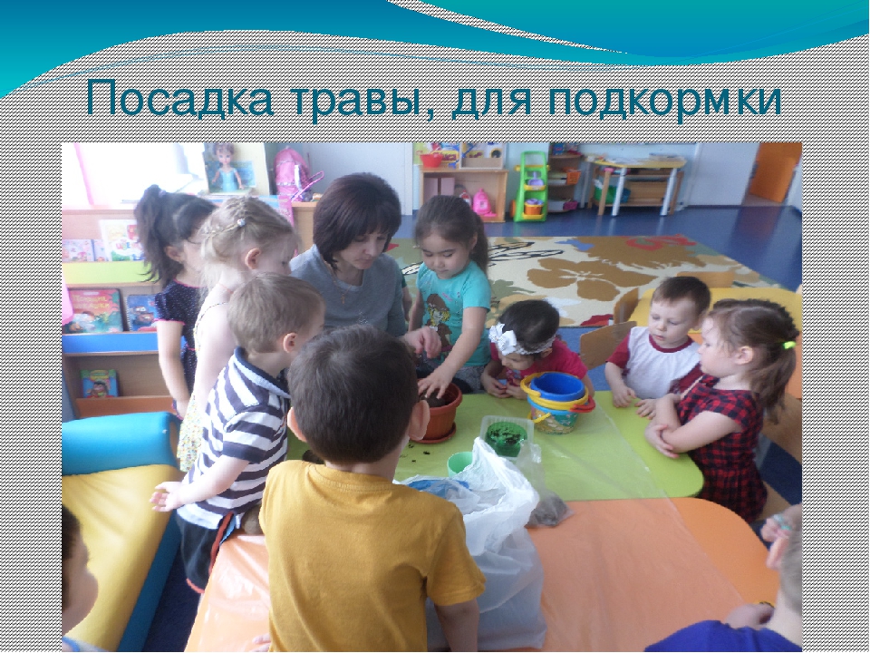 Презентация проекта " Птицы"