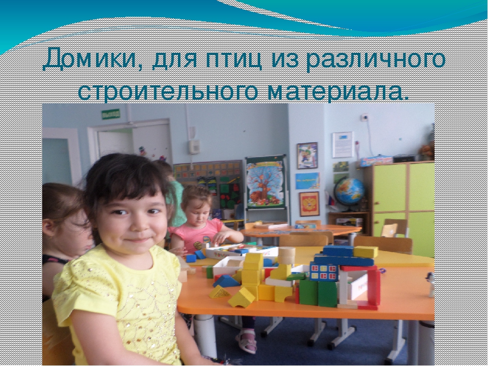 Презентация проекта " Птицы"