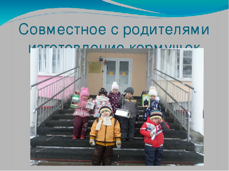 Презентация проекта " Птицы"