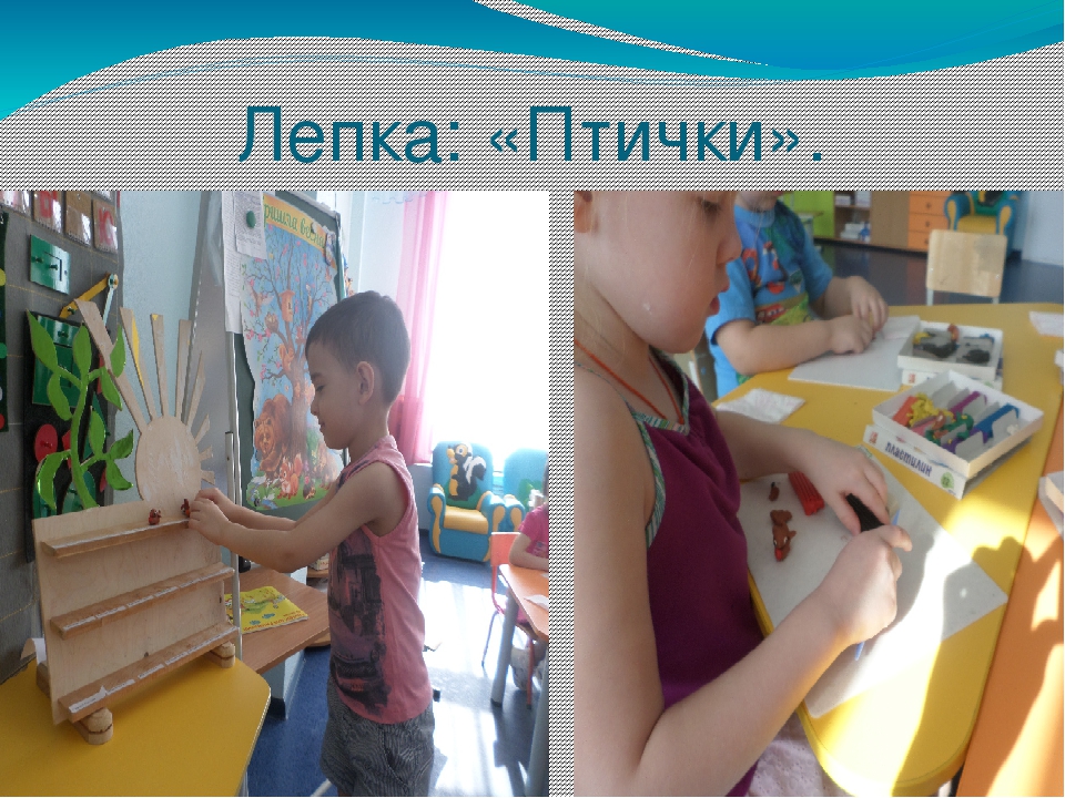 Презентация проекта " Птицы"
