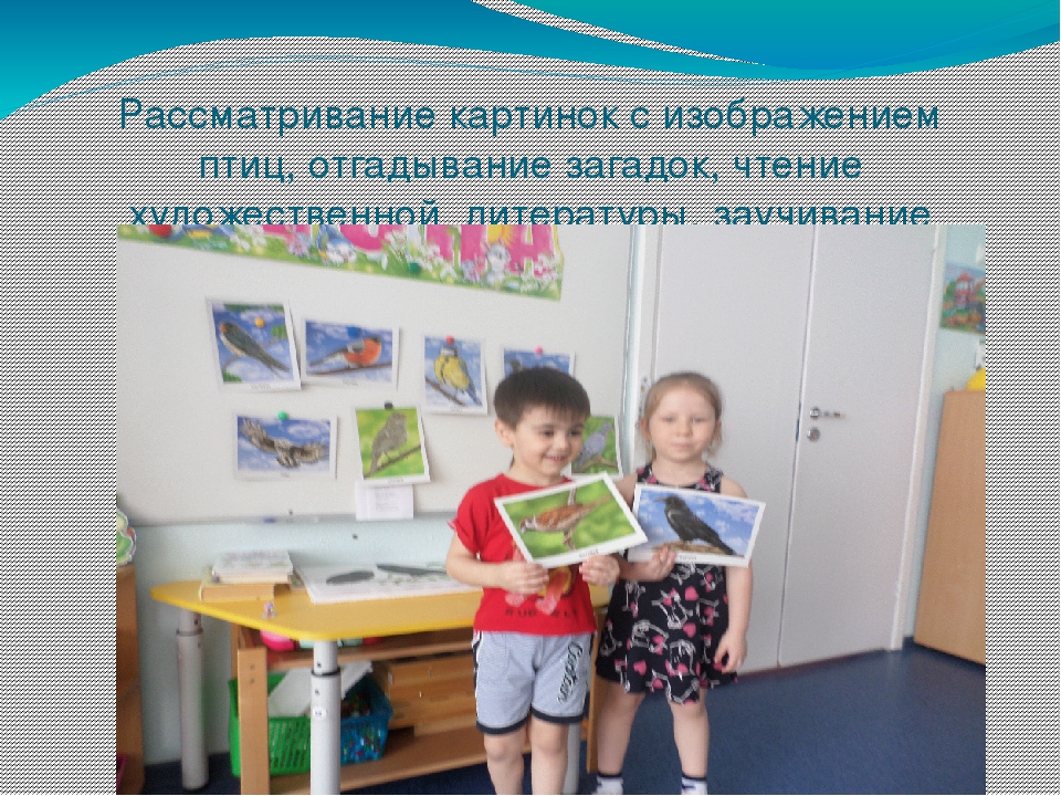 Презентация проекта " Птицы"