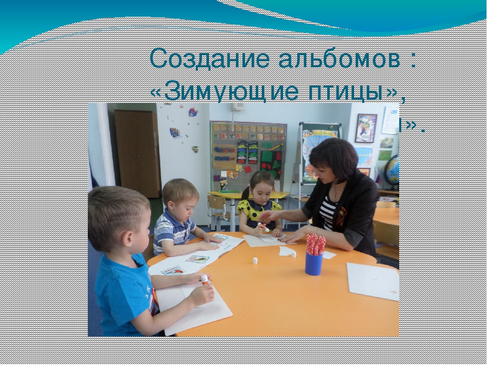 Презентация проекта " Птицы"