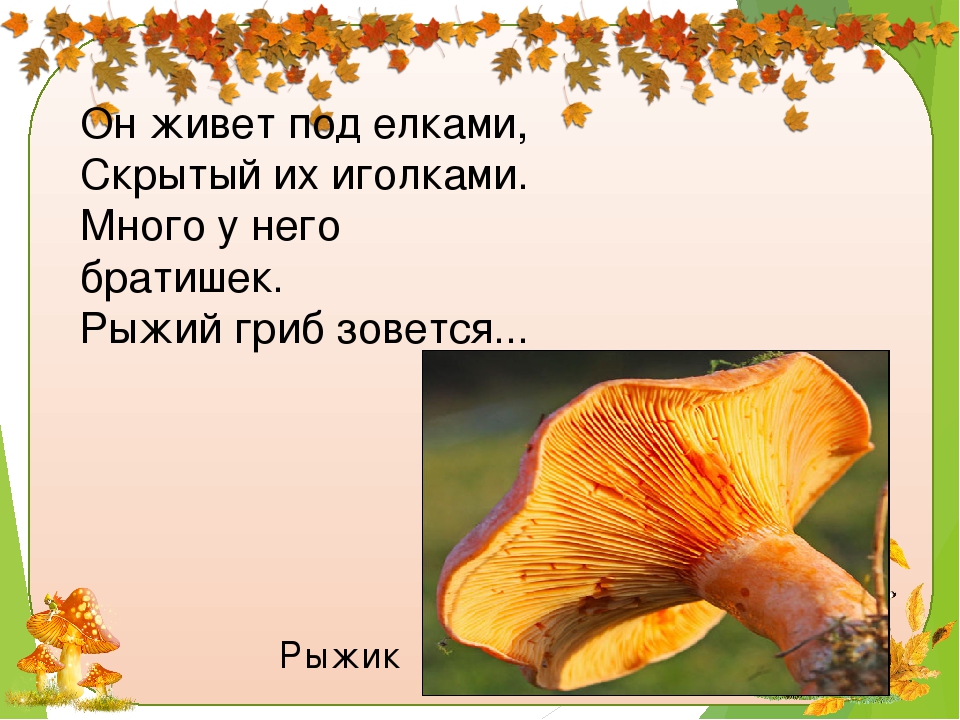 Презентация по окружающему миру "Грибное лукошко"