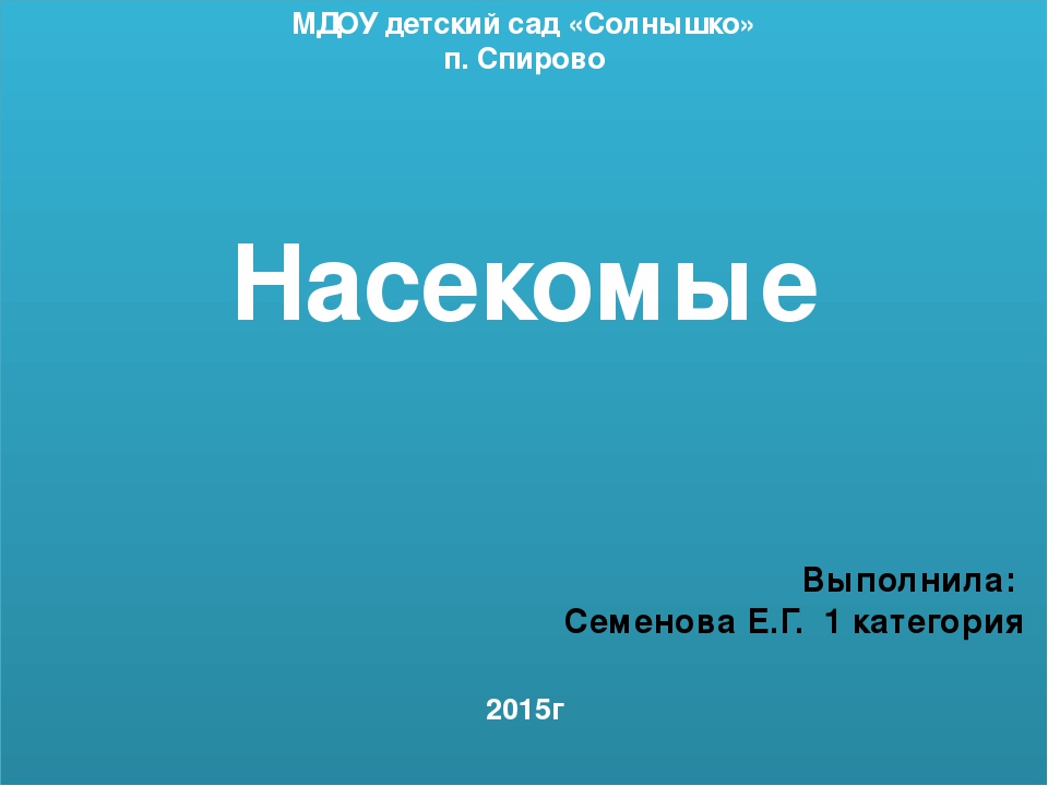 Презентация "Насекомые" для детей средней группы
