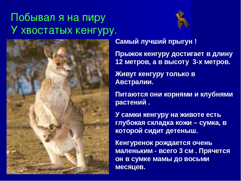 Презентация к занятию по окружающему миру в подготовительной группе "Зоопарк"
