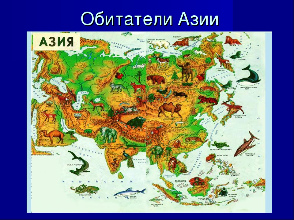 Евразия 4 класс окружающий мир. Животный мир Евразии. Азия животные и растения. Обитатели Азии.