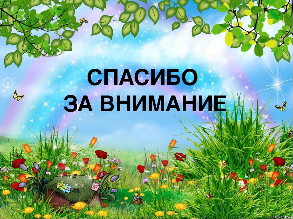 Презентация "Индивидуальные формы работы с родителями в дошкольном учреждении"
