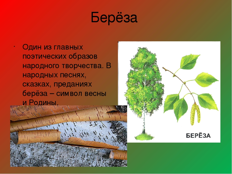 Использование нетрадиционной техники рисования как средство развития творческих способностей в национальной культуре и искусстве Коми народа