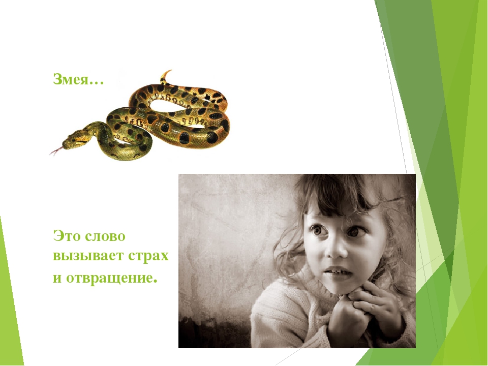 Презентация по экологии "Мы в ответе за нашу планету!"