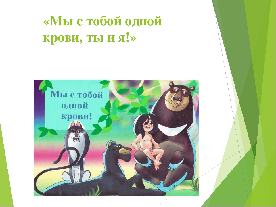 Презентация по экологии "Мы в ответе за нашу планету!"