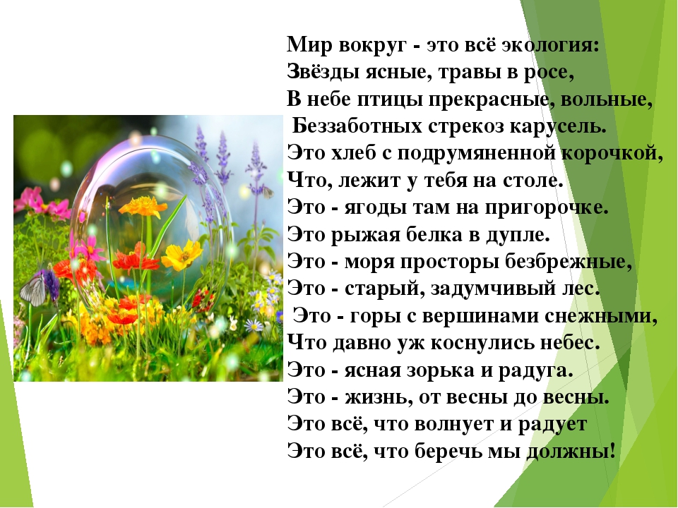Презентация по экологии "Мы в ответе за нашу планету!"
