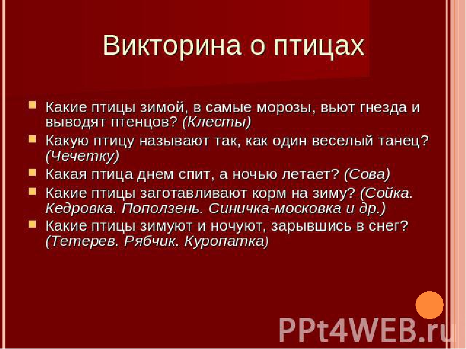 Презентация для детей дошкольного возраста на тему "Птицы зимой"