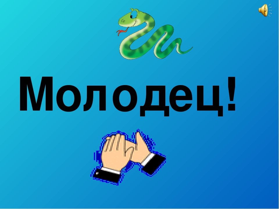 Игра "Поймай звук Ш".
