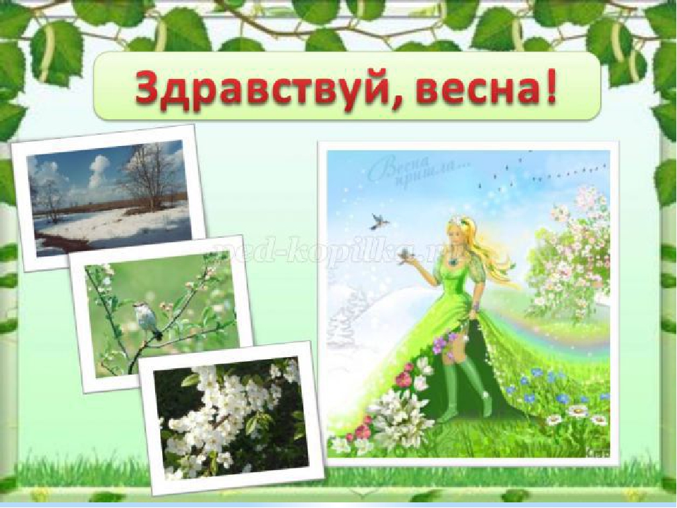 Презентация для детей "Первоцветы"