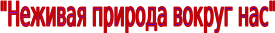 Shape3
