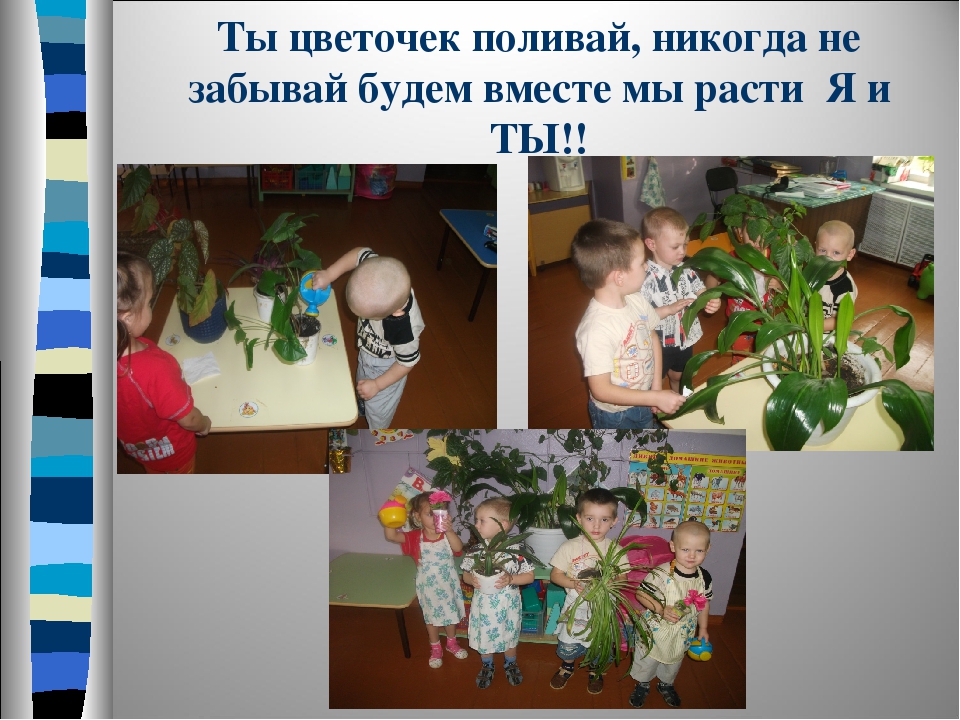 Презентация по окружающему миру «Будни и праздники нашей группы»