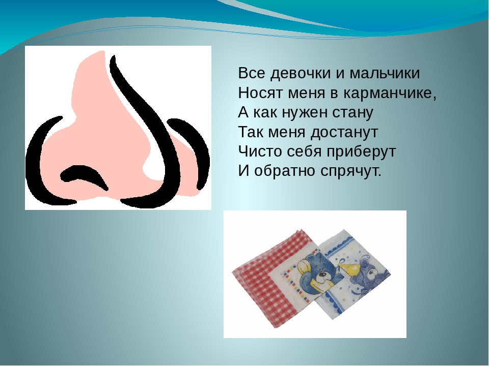 Дидактическая игра «Найди пару» область «Физическое развитие»