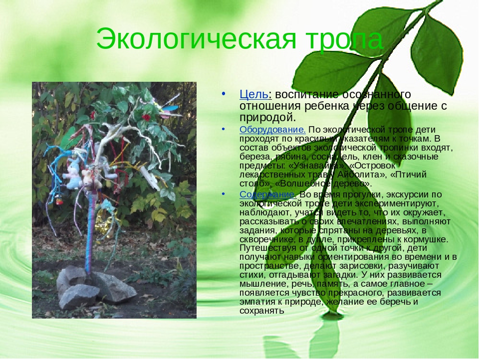 Проект "Все что рядом для игры"