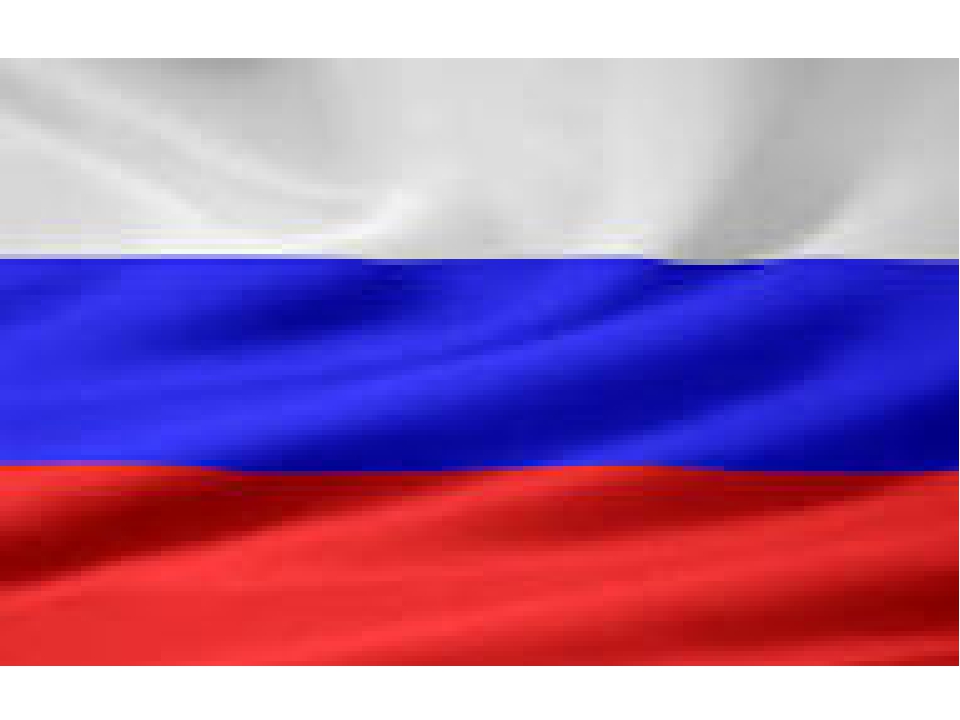 Презентация Моя Родина флаги гербы