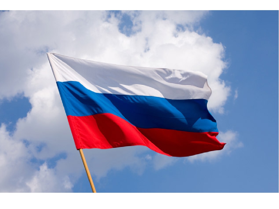Презентация Моя Родина флаги гербы