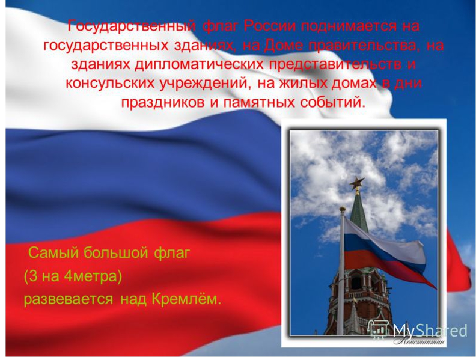 Презентация Моя Родина флаги гербы