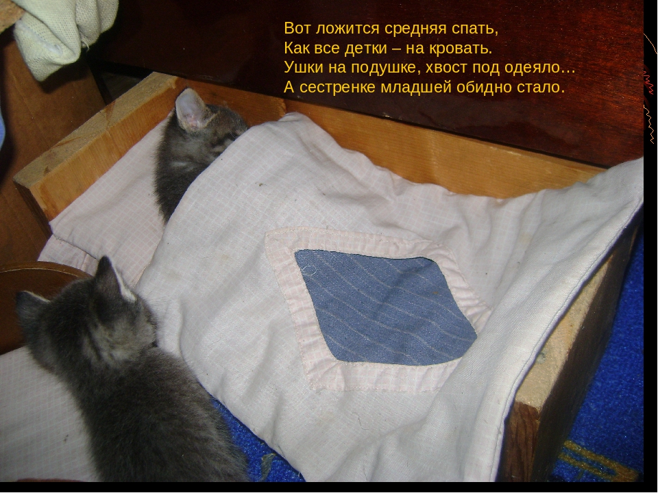 Презентация сказки "Котенкин дом"