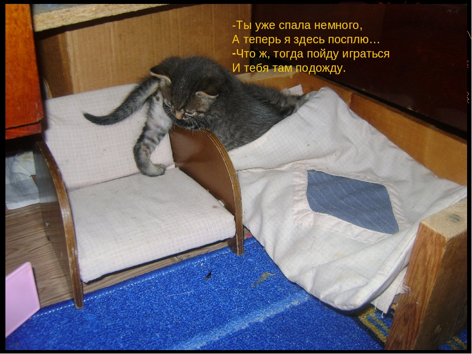 Презентация сказки "Котенкин дом"