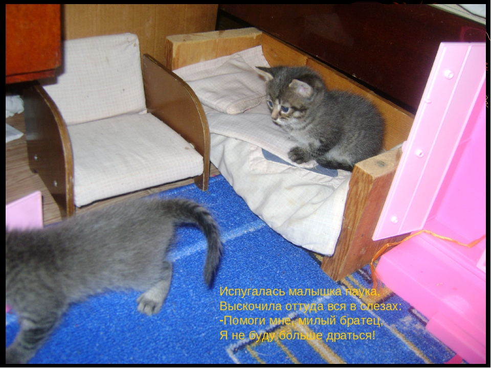 Презентация сказки "Котенкин дом"