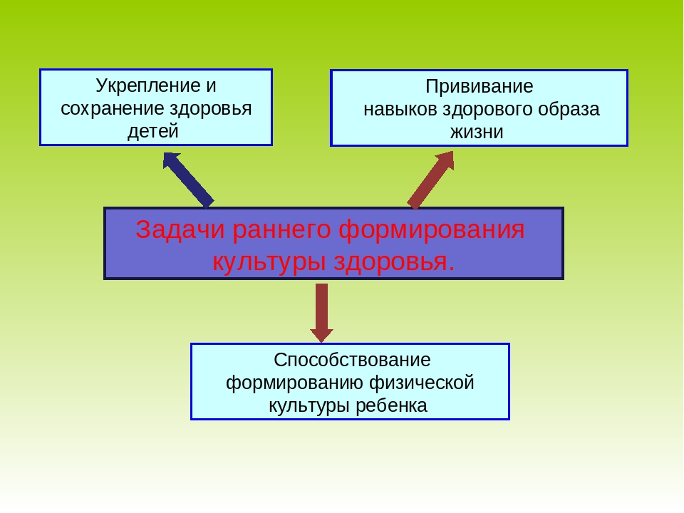 «Развитие стремления у дошкольников и их родителей вести здоровый образ жизни через повышение роли физической культуры и спорта».
