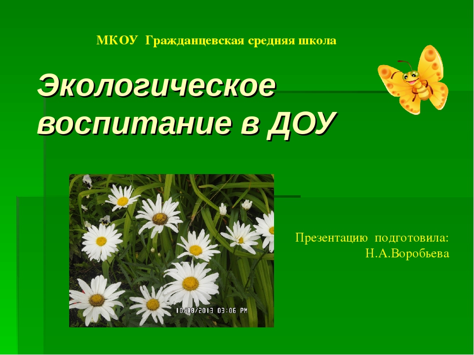 Экологическое воспитание в ДОУ.