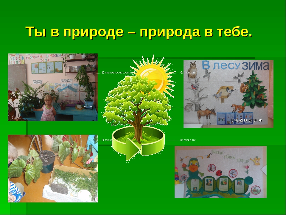 Экологическое воспитание в ДОУ.
