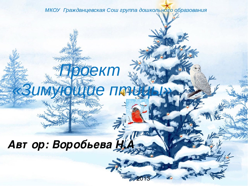 Презентация. Проект "Зимующие птицы".