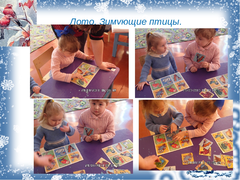 Презентация. Проект "Зимующие птицы".