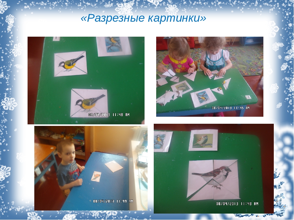 Презентация. Проект "Зимующие птицы".