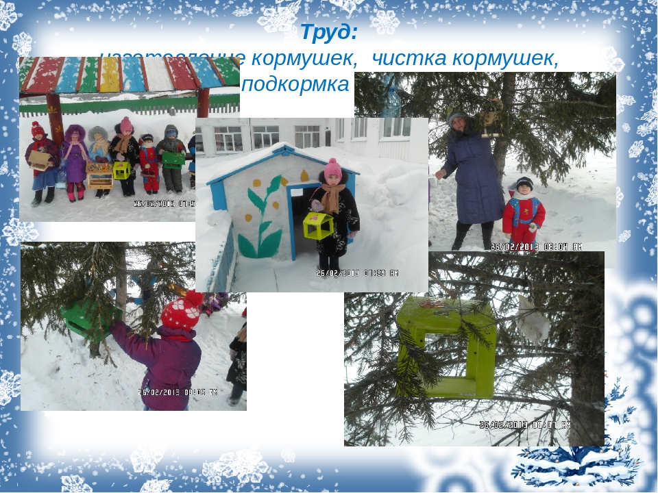 Презентация. Проект "Зимующие птицы".