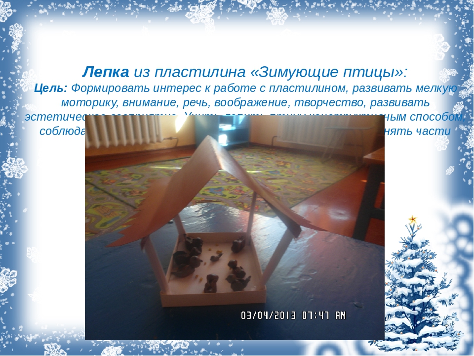 Презентация. Проект "Зимующие птицы".