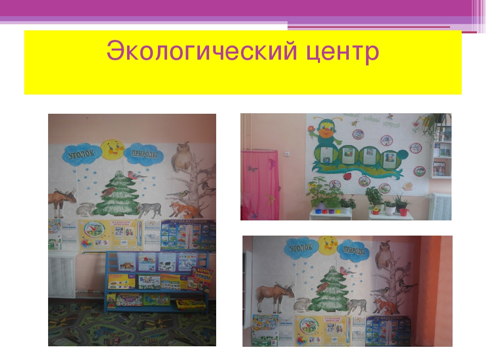 Предметно - развивающая среда.