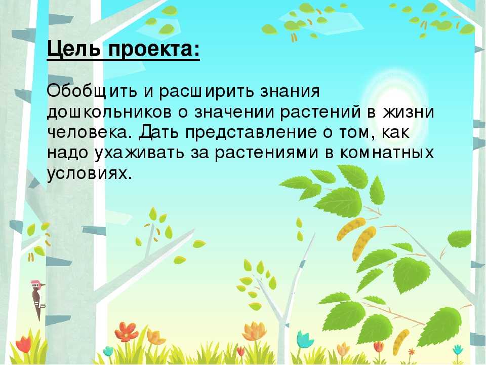 Презентация "Чудо огород" в подготовительной группе