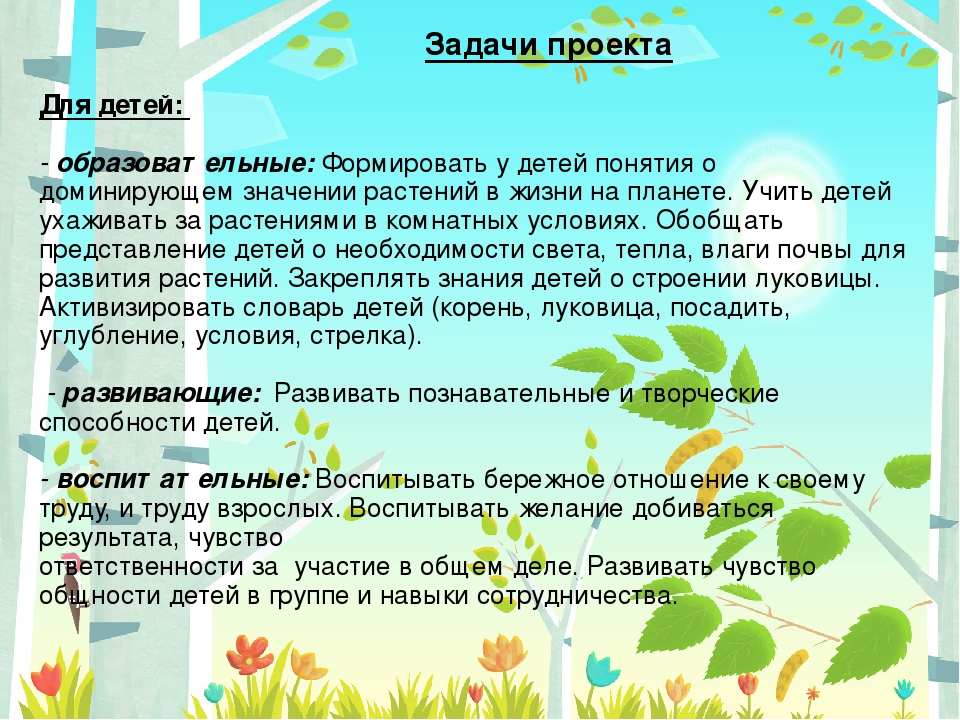 Презентация "Чудо огород" в подготовительной группе