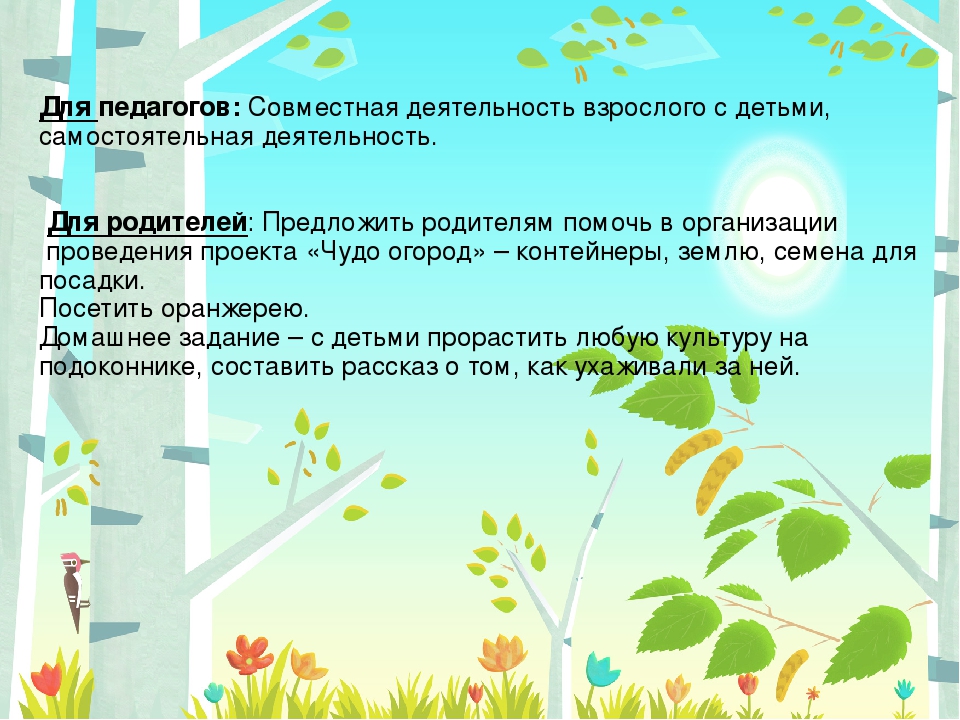 Презентация "Чудо огород" в подготовительной группе