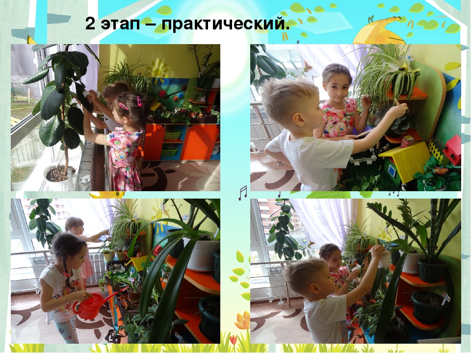 Презентация "Чудо огород" в подготовительной группе