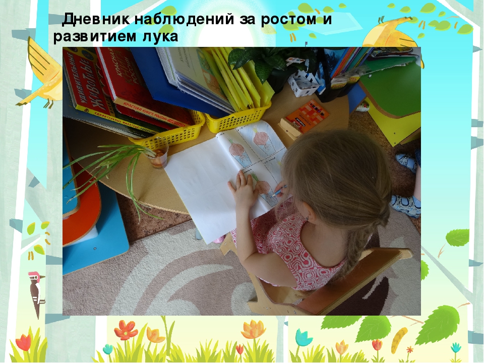 Презентация "Чудо огород" в подготовительной группе