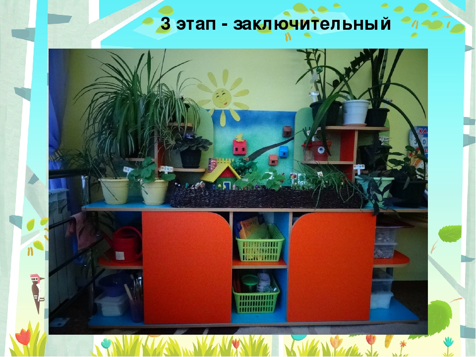 Презентация "Чудо огород" в подготовительной группе