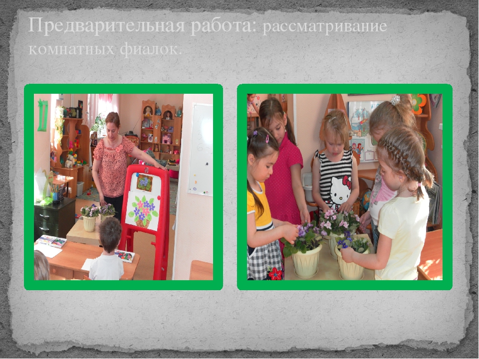 Презентация на тему "Фиалки"