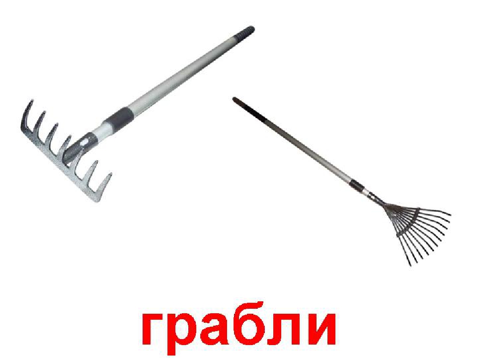 Презентация для детей дошкольного возраста "Садовые инструменты"
