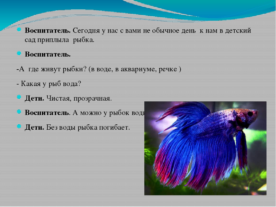 Проект "ЭКСПЕРЕМЕНТЫ С ВОДОЙ" (вторая младшая группа)