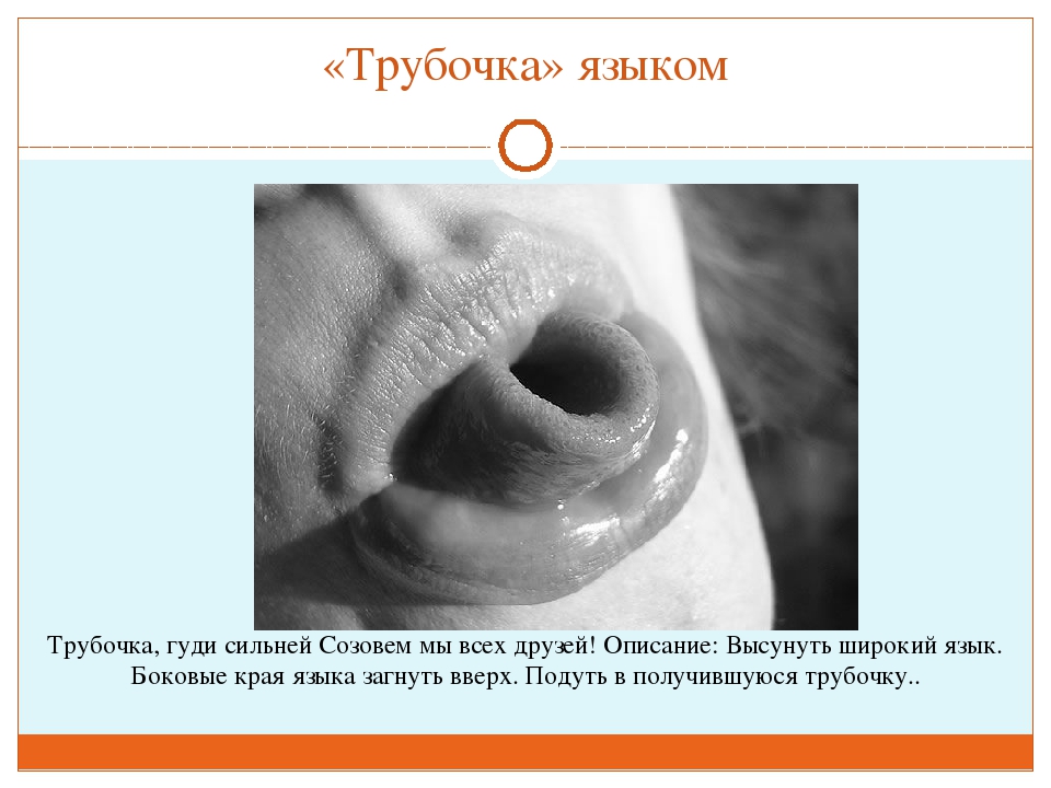 ПРЕЗЕНТАЦИЯ "ВЕСЁЛАЯ АРТИКУЛЯЦИОННАЯ ГИМНАСТИКА ДЛЯ ДЕТЕЙ"