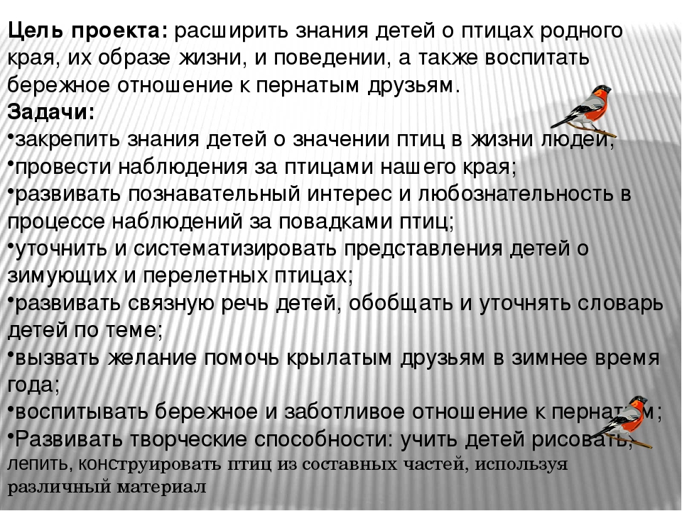Проект в подготовительной группе "Птицы - наши друзья"