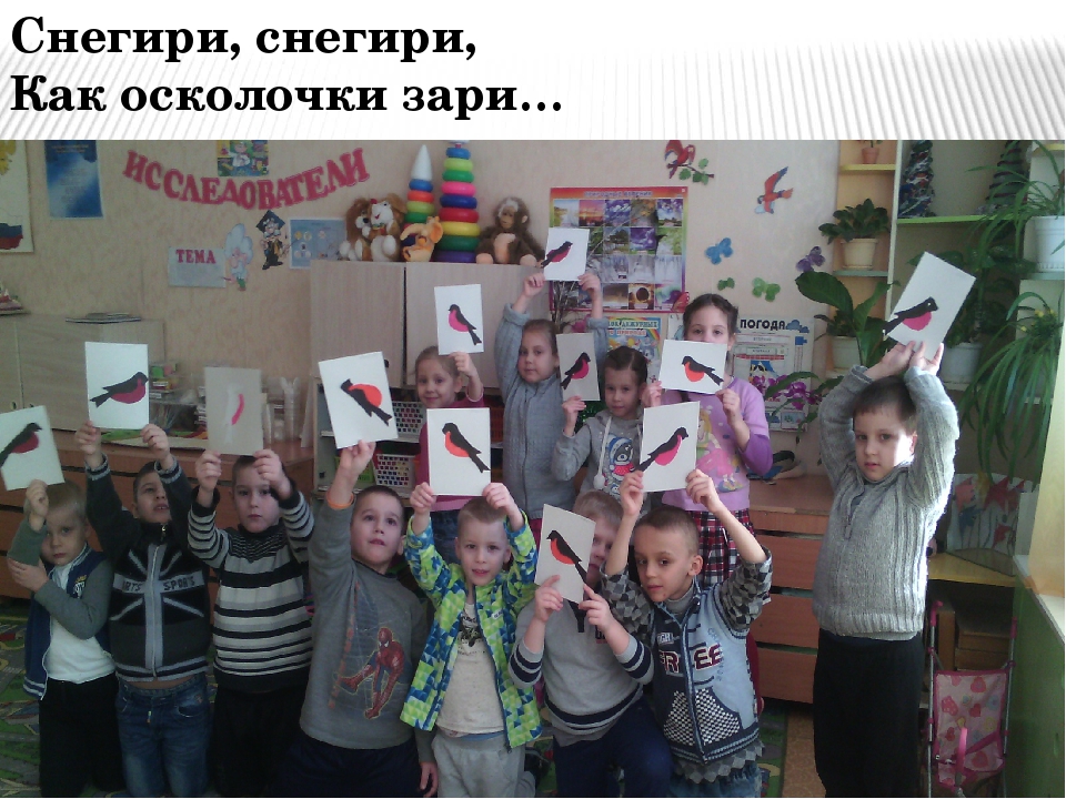 Проект в подготовительной группе "Птицы - наши друзья"