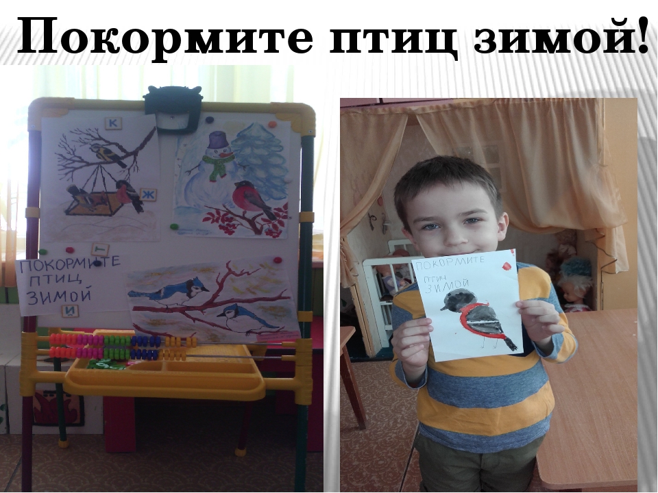Проект в подготовительной группе "Птицы - наши друзья"
